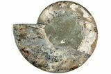 Cut & Polished Ammonite Fossil (Half) - Madagascar #233784-1